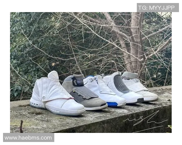 aj扁平足篮球鞋助力运动表现提升舒适度与稳定性兼具的理想选择