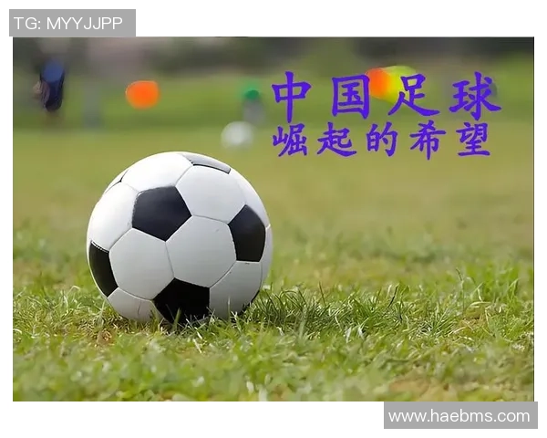 中国足球的崛起与挑战体育评书带你深入解析球场背后的故事与情感